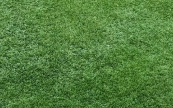 Las Vegas, NV - After