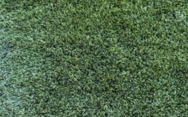 San Diego, CA - After