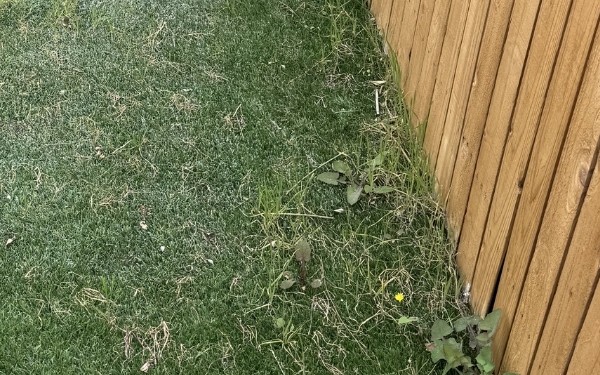 Henderson, NV - Before