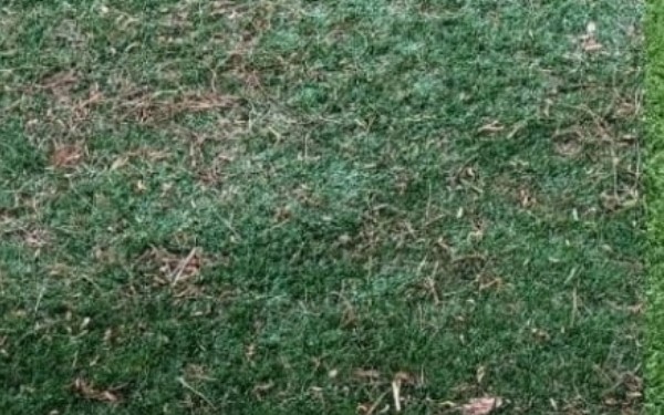 Las Vegas, NV - Before