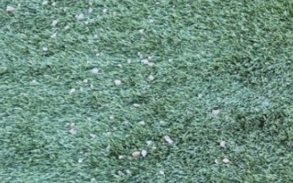 San Diego, CA - Before